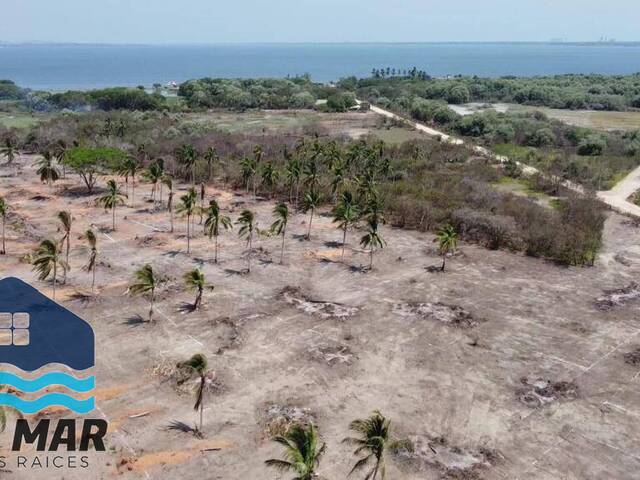 #228 - Área para Venta en Acapulco de Juárez - GR - 3